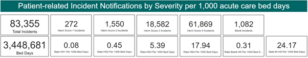 Figure 4 Patient-related notifications by severity