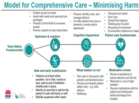 Comprehensive Care – minimising harm model 