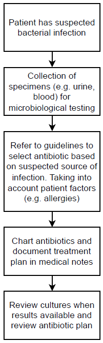 Process map – prescribing of antibiotics