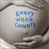 Every Week Counts cover